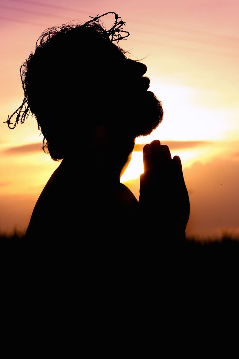 Read more about the article What does it mean to sacrifice on Holy Alter?; Sermon for Today