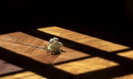 What does it mean to be rejected by God?