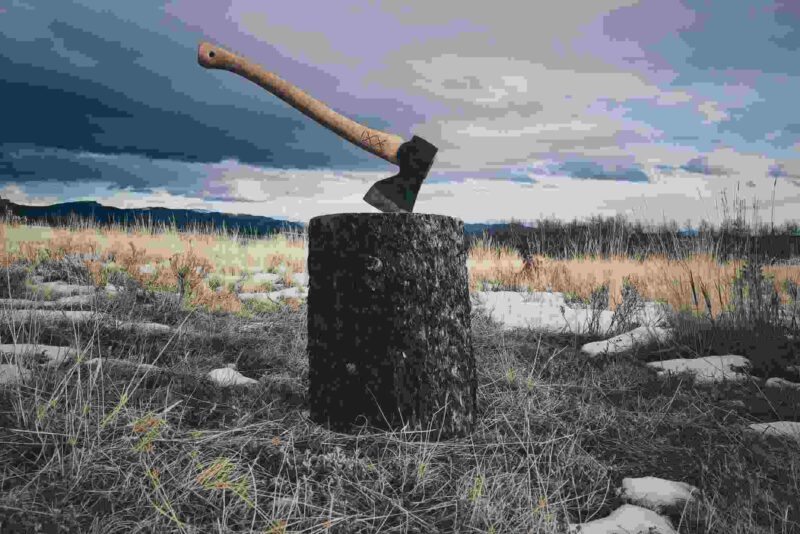 Read more about the article Axe At The Root of The Tree Sermon By Arm of The Lord Christian Ministry
