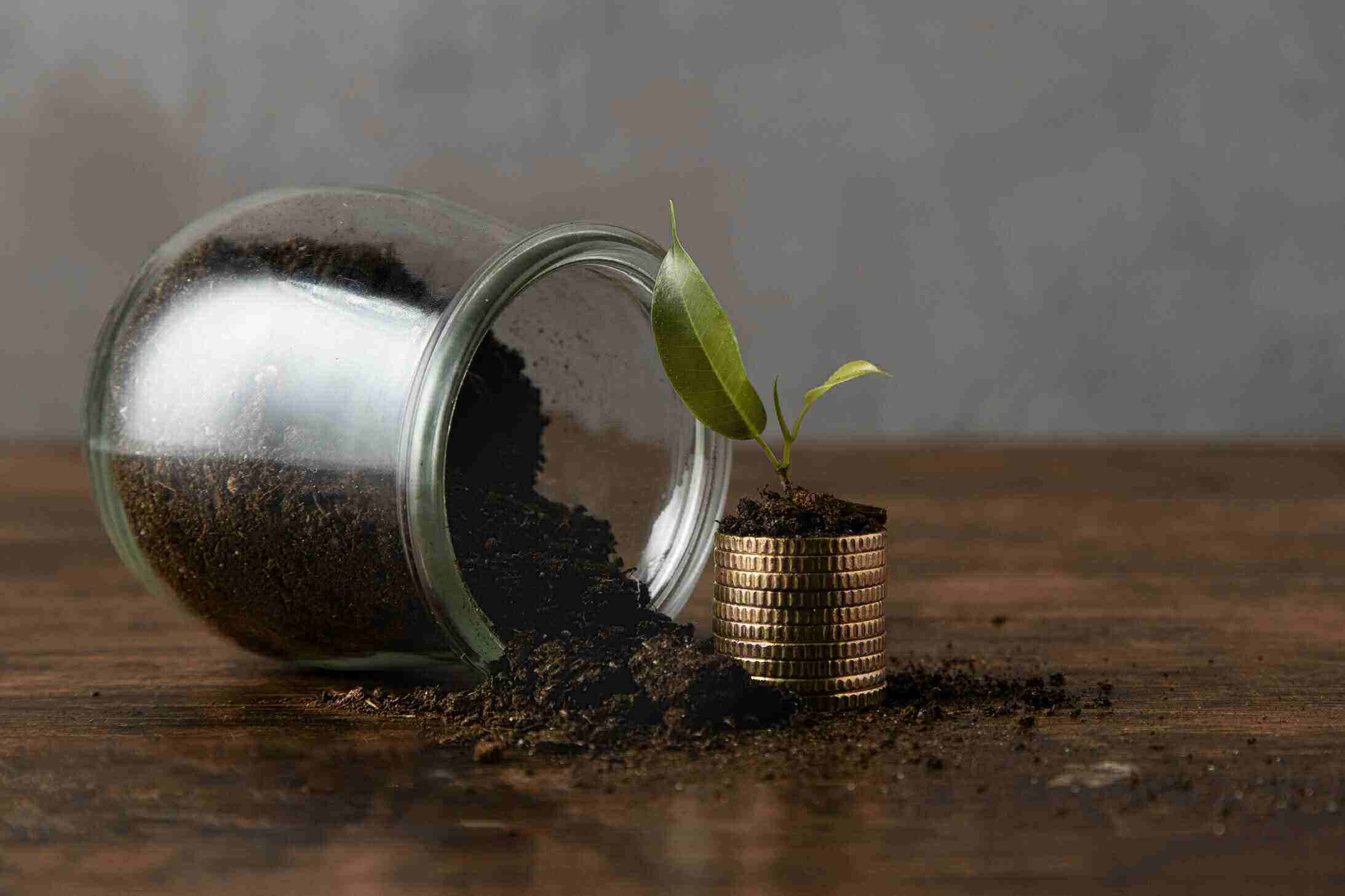 Divine investment
