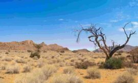 Going Back To Egypt: Sermon For Today By Arm of The Lord Christian Ministry