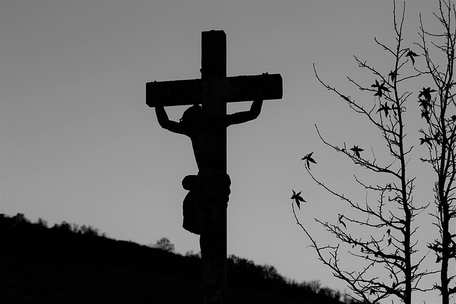 Read more about the article Way of Crucifixion