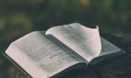 Doctrine of Men