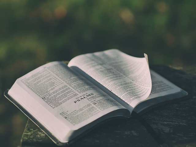 Read more about the article Doctrine of Men