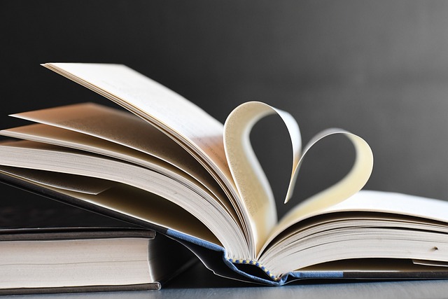 Read more about the article HUMAN HEART