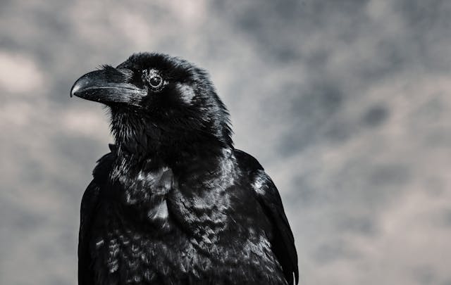 beware of false prophets