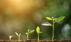 SPIRITUAL GROWTH 2