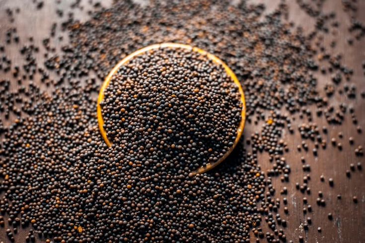 Read more about the article FAITH LIKE A GRAIN OF MUSTARD SEED 2