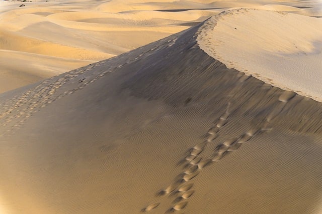 Read more about the article Journey Back To Egypt – Sermon By Arm of The Lord Christian Ministry